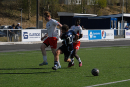 Varfjell - Kårvåg/Havørn 2025